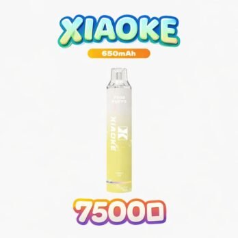 XIAOKE 梟客 拋棄式電子煙 7500口 – 可充電Type-C快充 8ml大容量煙油 650mAh電池 網狀霧化芯 台灣現貨